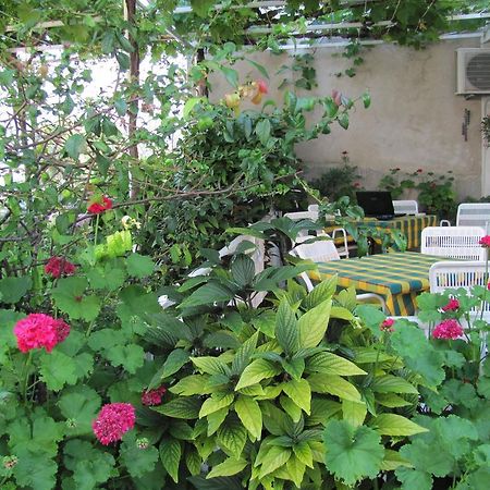 Guesthouse Marija Cavtat Ruang foto